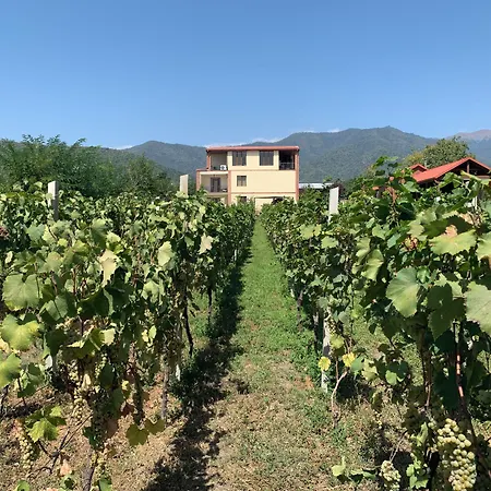 Villa Vitis-3